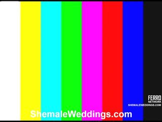 מדהים קוקסינל weddings סרט עם מדהימה מבוגר סרט כוכבים הִמנוֹן, לורנה, milena